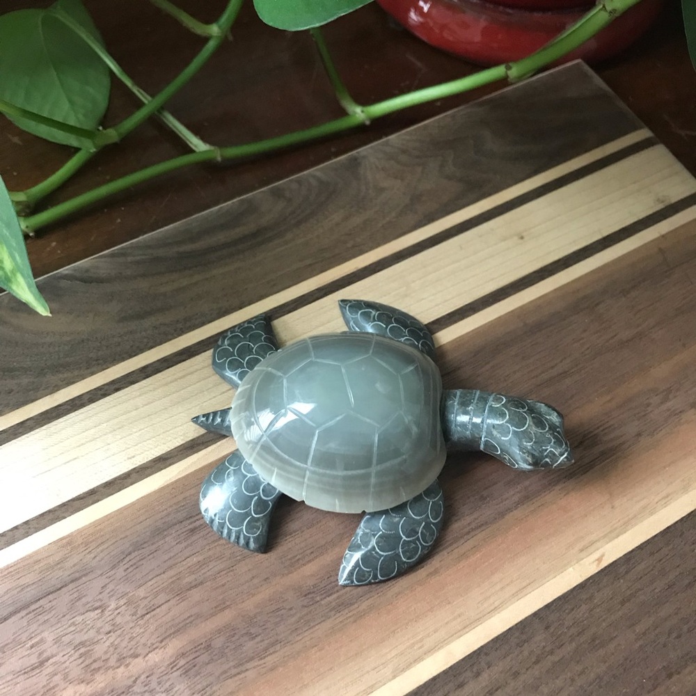Turtle paper weight or desk accessory